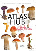 Atlas hub