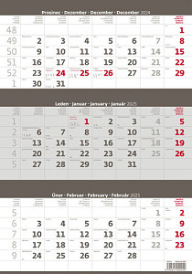 Kalendář nástěnný 2025 - Tříměsíční šedý