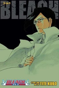 Bleach (3-in-1 Edition) 24