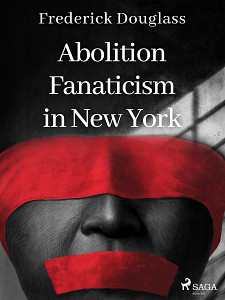 E-kniha Abolition Fanaticism in New York