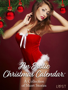 E-kniha An Erotic Christmas Calendar: A Collection of Short Stories