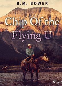 E-kniha Chip Of the Flying U