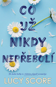 E-kniha Co už nikdy nepřebolí