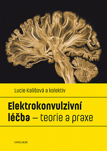 E-kniha Elektrokonvulzivní léčba – teorie a praxe