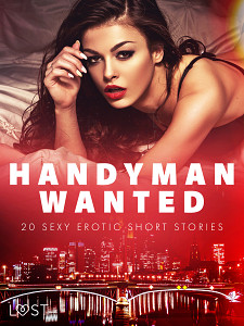 E-kniha Handyman Wanted - 20 Sexy Erotic Short Stories