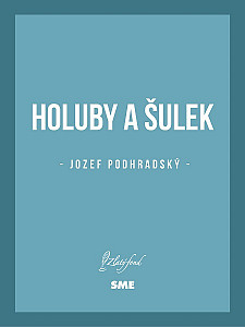 E-kniha Holuby a Šulek