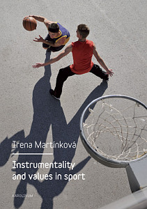 E-kniha Instrumentality and values in sport