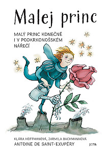E-kniha Malej princ