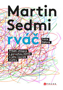 E-kniha Martin Sedmirváč