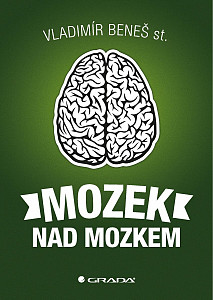 E-kniha Mozek nad mozkem