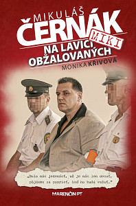 E-kniha Na lavici obžalovaných