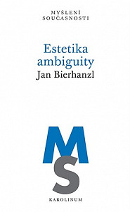 Estetika ambiguity