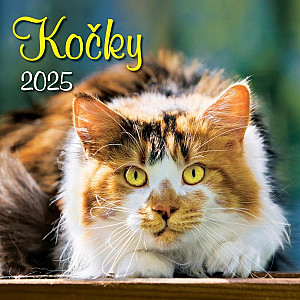 Kalendář 2025 Kočky, nástěnný, 33 x 33 cm
