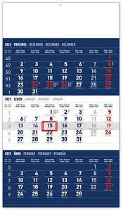 Kalendář 2025 nástěnný: 3měsíční standard modrý - s českými jmény, 29,5 × 43 cm