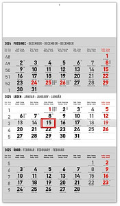 Kalendář 2025 nástěnný: 3měsíční standard šedý - s českými jmény, 29,5 × 43 cm