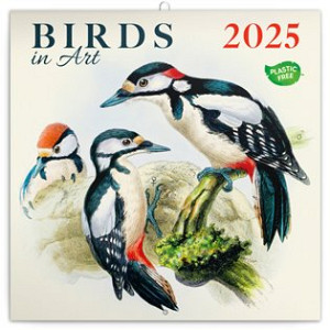 Kalendář 2025 poznámkový: Ptáčci, 30 × 30 cm