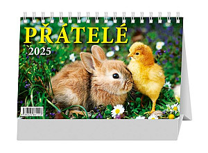 Kalendář 2025 Přátelé stolní, stolní, 23 x 14 cm