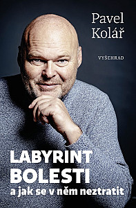 Labyrint bolesti