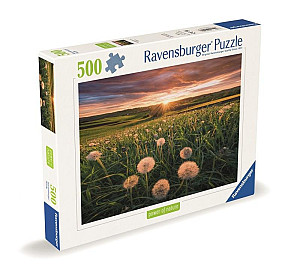 Puzzle Pampelišky v západu slunce 500 dílků