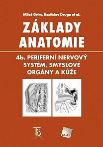 Základy anatomie 4b - Periferní nervový systém, smyslové orgány a kůže