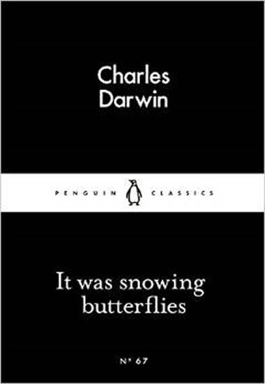 It Was Snowing Butterflies (Little Black Classics)