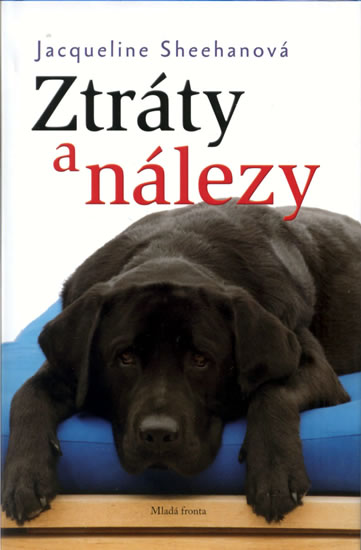 Ztráty a nálezy