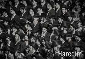 Haredim