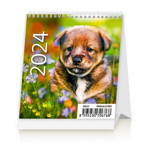 Kalendář stolní 2024 - Mini Puppies