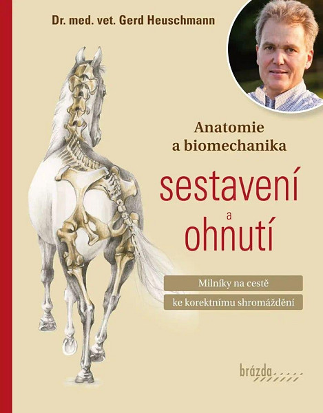 Anatomie a biomechanika sestavení a ohnutí - Milníky na cestě ke korektnímu shromáždění