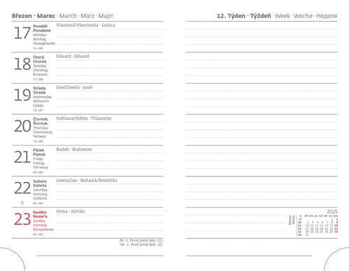 Diář 2025 Vario týdenní kapesní Matragi Energy s gumičkou