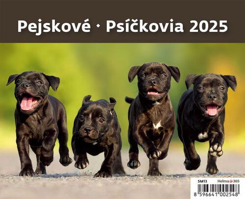 Kalendář stolní 2025 - MiniMax Pejskové / Psíčkovia