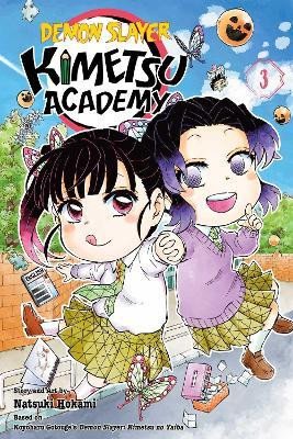 Demon Slayer: Kimetsu Academy 3