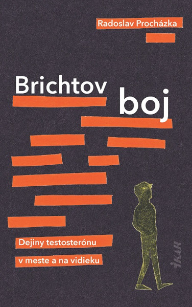E-kniha Brichtov boj