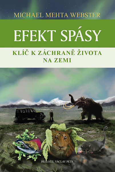 E-kniha Efekt spásy