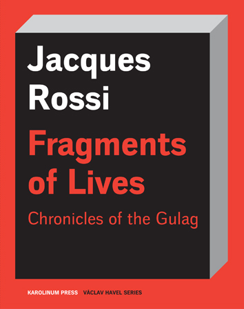 E-kniha Fragments of Lives