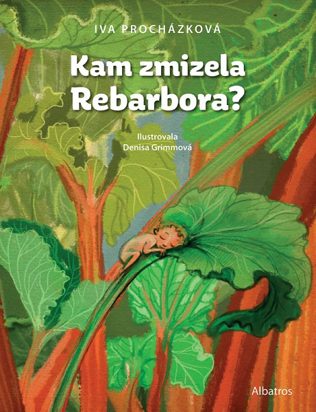 E-kniha Kam zmizela Rebarbora?