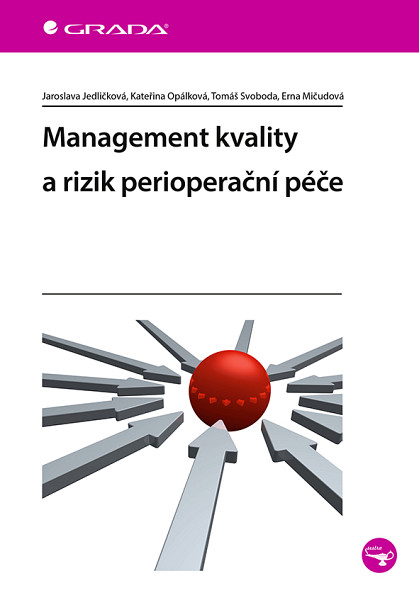 E-kniha Management kvality a rizik perioperační péče