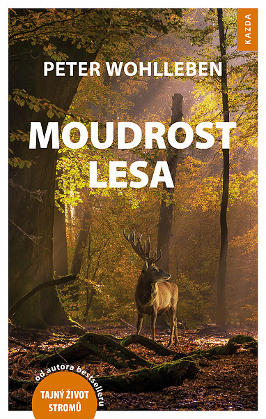 E-kniha Moudrost lesa