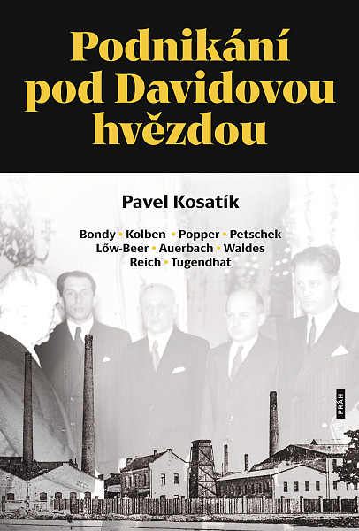 E-kniha Podnikání pod Davidovou hvězdou