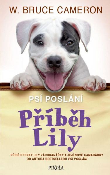 E-kniha Příběh Lily