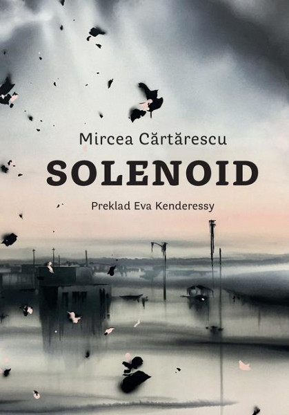 E-kniha Solenoid