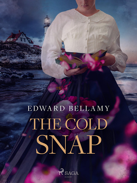 E-kniha The Cold Snap