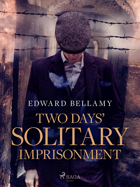 E-kniha Two Days' Solitary Imprisonment