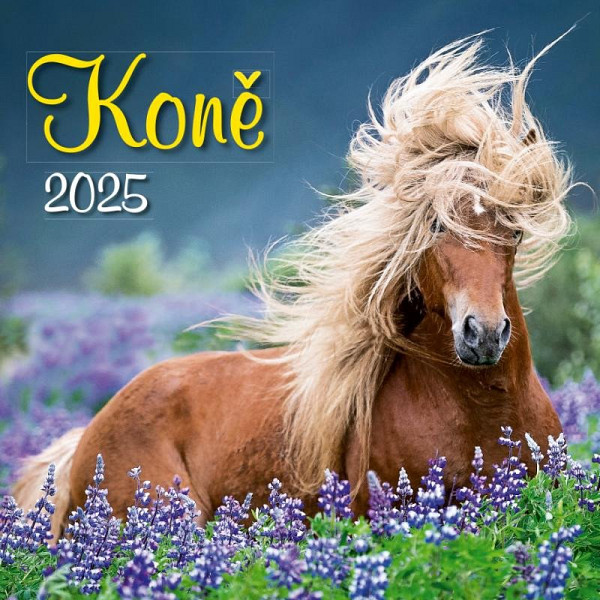 Kalendář 2025 Koně, nástěnný, 33 x 33 cm