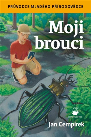 Moji brouci