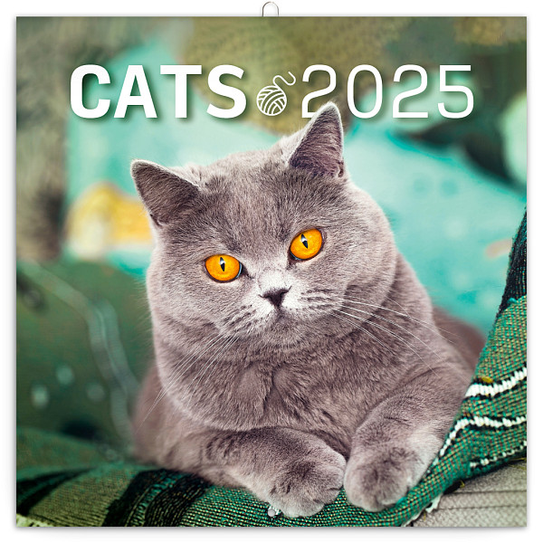 NOTIQUE Poznámkový kalendář Kočky 2025, 30 x 30 cm