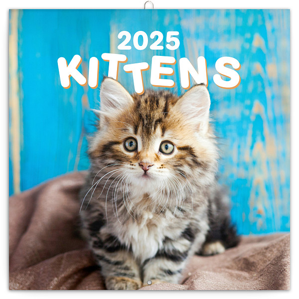 NOTIQUE Poznámkový kalendář Koťata 2025, 30 x 30 cm