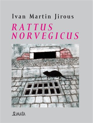 Rattus norvegicus