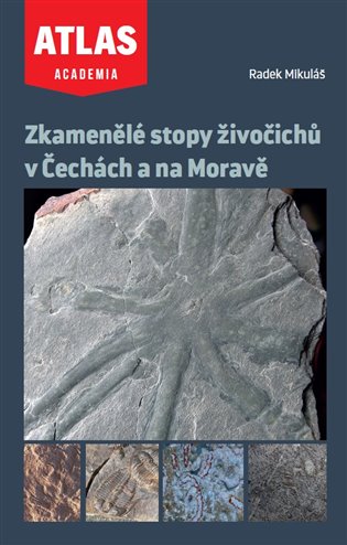 Zkamenělé stopy živočichů v Čechách a na Moravě